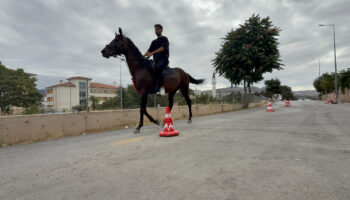 tokatta direksiyon sinavi heyecanini atla parkur gecerek yendi BJUbL9OC