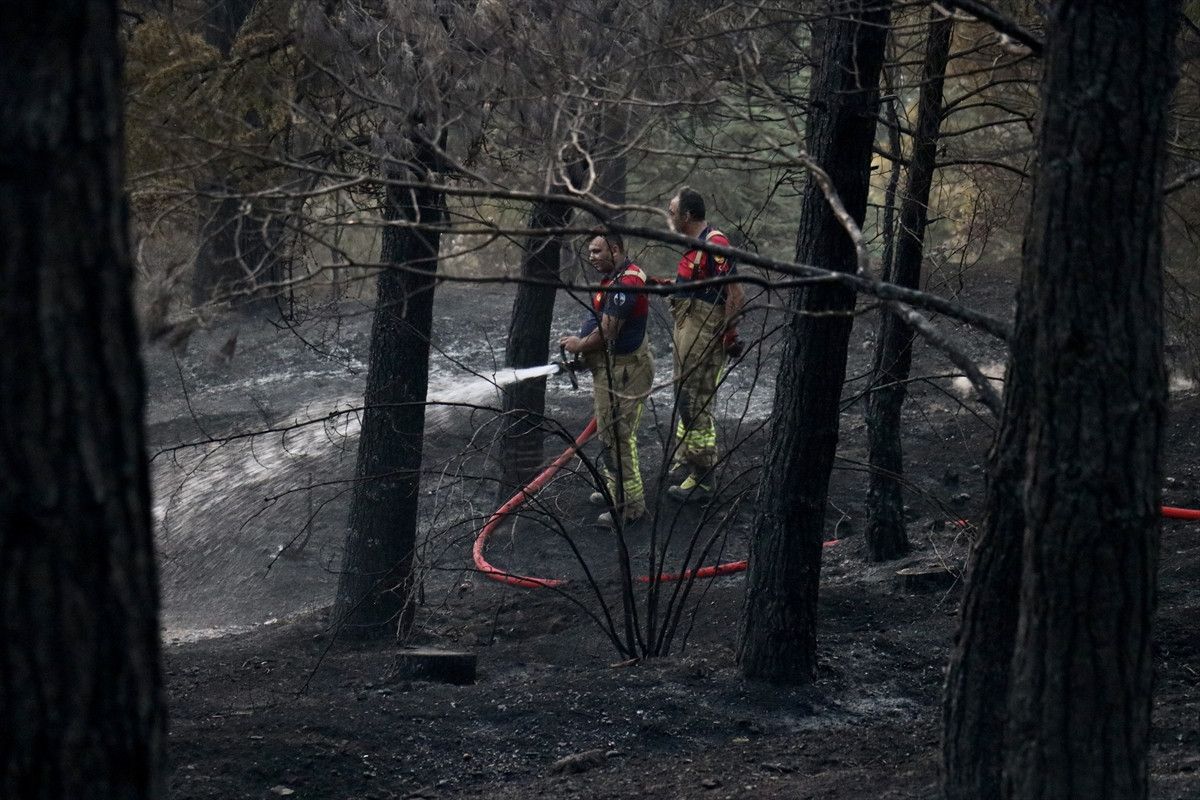 tokatta orman yangini kontrol altina alindi 0 sDnnj146