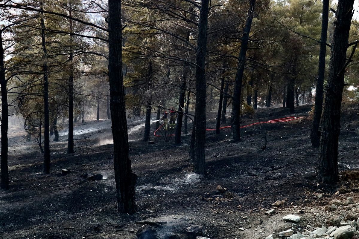 tokatta orman yangini kontrol altina alindi 1 p5ASUf3y