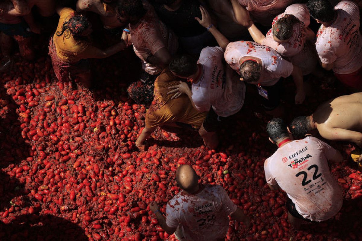 tonlarca domatesin firlatildigi la tomatina festivali her yil yogun ilgi goruyor 0 27TWT1VL