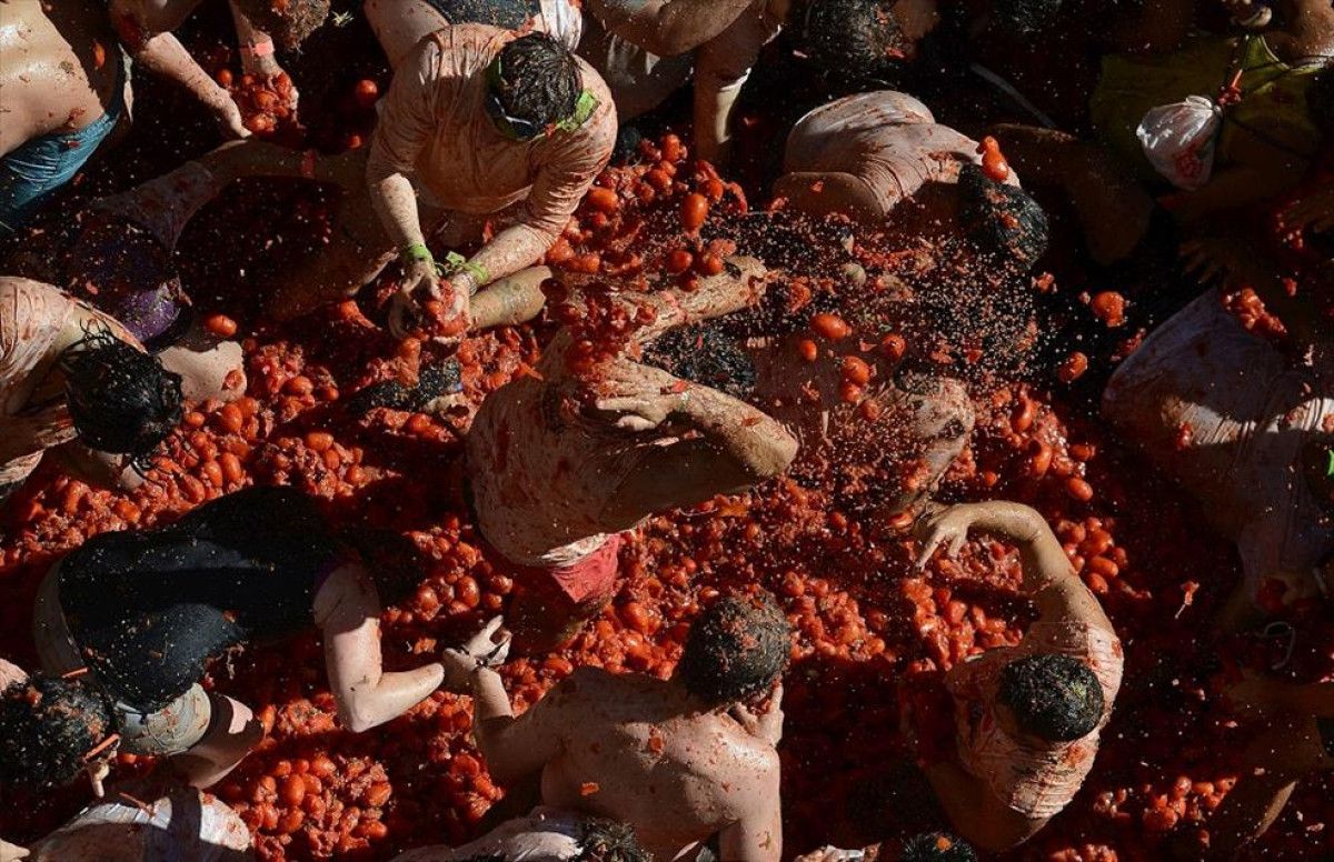 tonlarca domatesin firlatildigi la tomatina festivali her yil yogun ilgi goruyor 2 PI6FL1Zd
