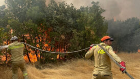 turkiyede bir ayda 12 bin 752 futbol sahasi buyuklugunde orman yandi 4QB8zfai