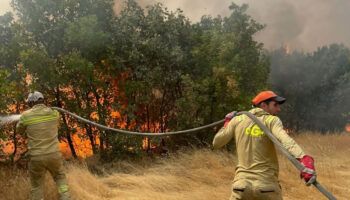 turkiyede bir ayda 12 bin 752 futbol sahasi buyuklugunde orman yandi 4QB8zfai