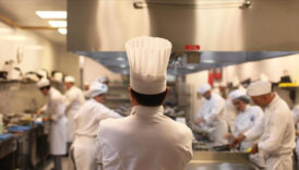 turkiyede gencler ascilik meslegine yoneliyor mvuLy5z6