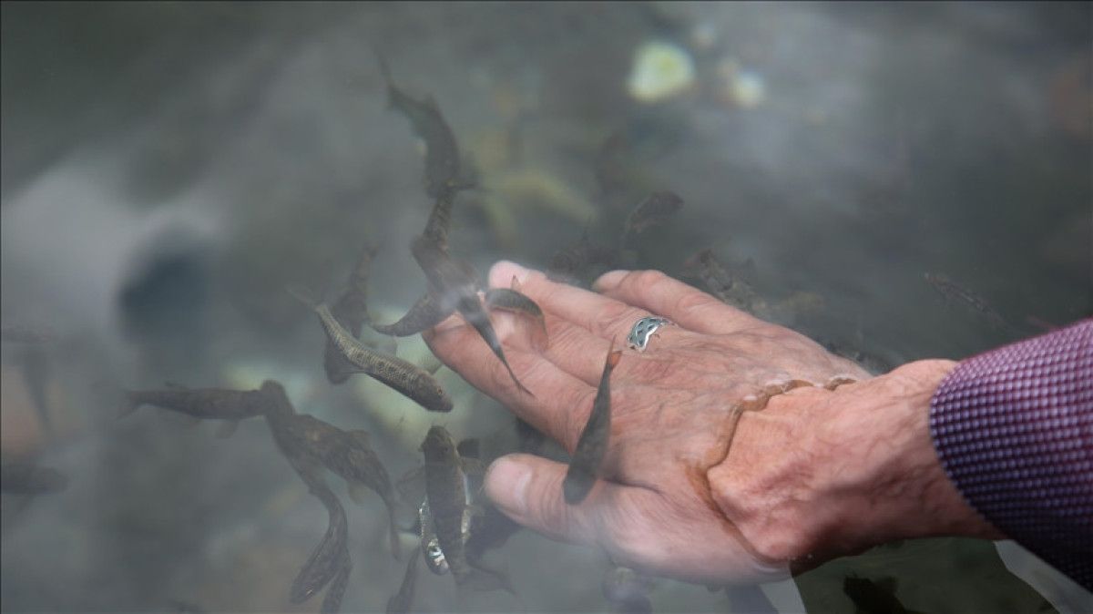 Türkiye'de şifa turizmi merkezleri 3 turkiyede sifa turizmi merkezleri 2 DhT9iN4l