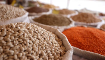 turkiyenin 7 aylik hububat ihracati 71 milyar dolar SMEcB6xT