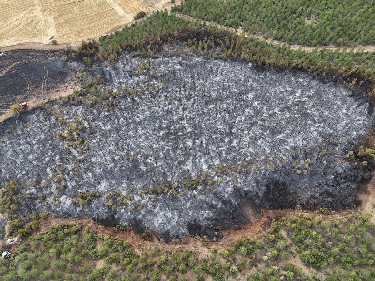 usakta ormanlik alana sicrayan yanginda son durum 0 CQZaMr9O