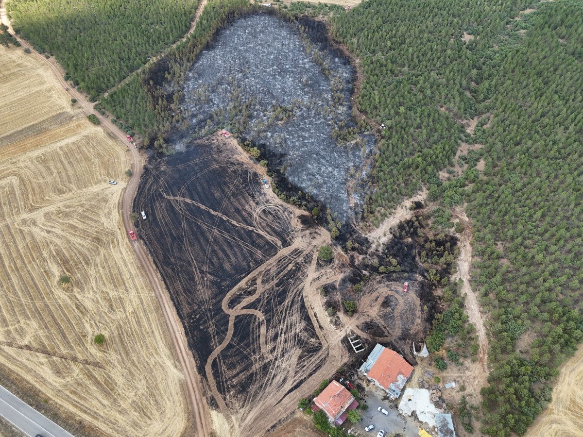 usakta ormanlik alana sicrayan yanginda son durum 1 ZuwKFESV