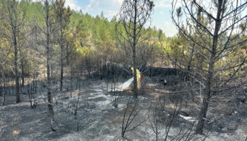 usakta ormanlik alana sicrayan yanginda son durum PqimwbxF