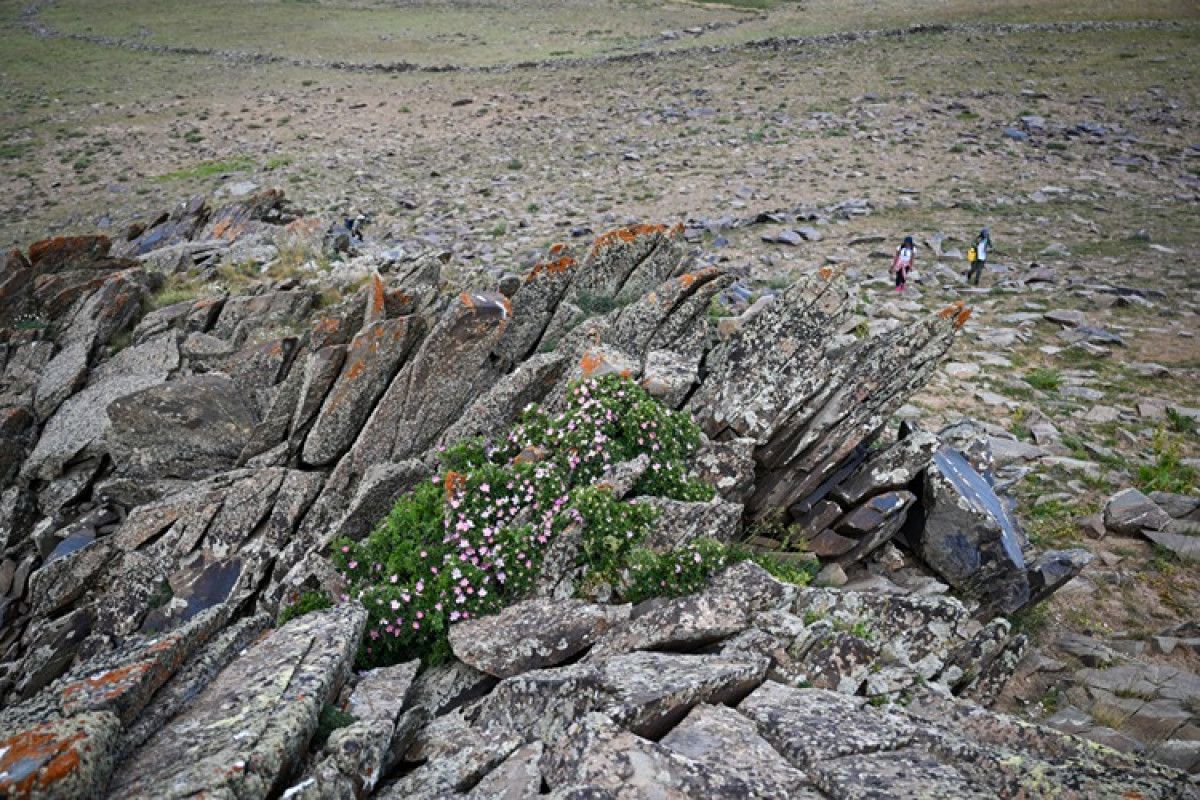 vanda tarih oncesi caglara ait kaya resimleri tescillenecek 3