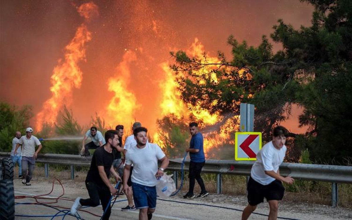 Yanan 3 bin hektar ormanın dönüşümü için 100 yıl gerekli 2 yanan 3 bin hektar ormanin donusumu icin 100 yil gerekli 1 26JfNqDX