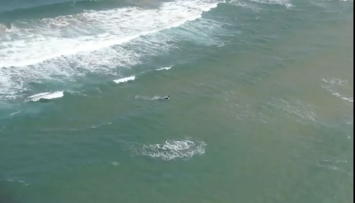 yaz aylarinin korkulu ruyasi rip akintisindan kurtulma yontemi 0 rz5b6VJk