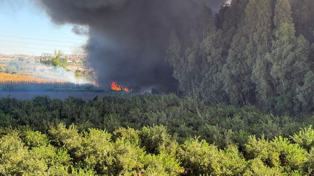 adanada geri donusum fabrikasinda yangin 1 1S4zg8sG