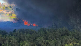 adanada geri donusum fabrikasinda yangin NBhl6fVB