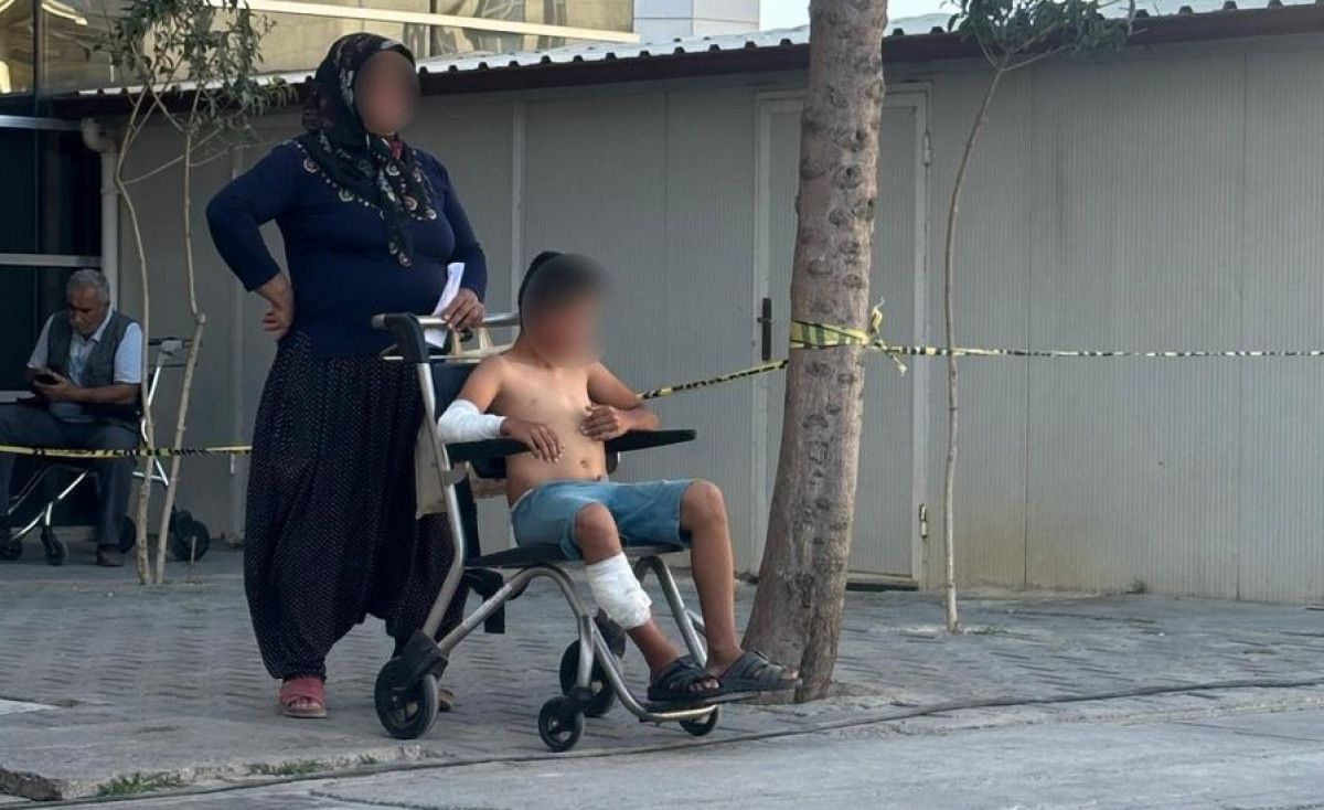 Adıyaman'da başıboş köpek, çocuğa saldırdı 1 adiyamanda basibos kopek cocuga saldirdi 0 ltGfT63C