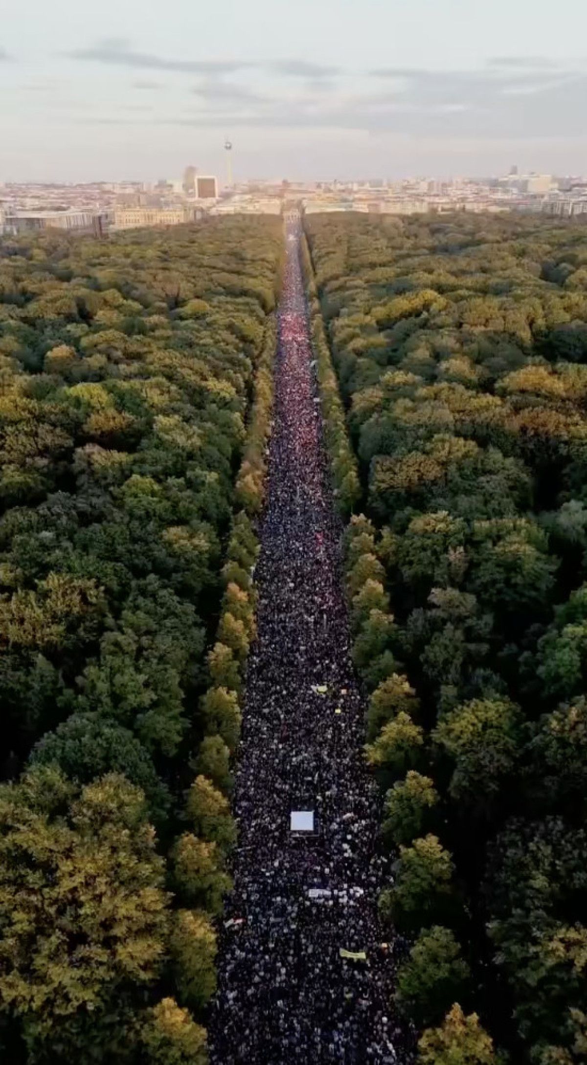 almanyadaki en buyuk gazze yuruyusu 100 bini askin kisi katildi 2 4CQbydH7