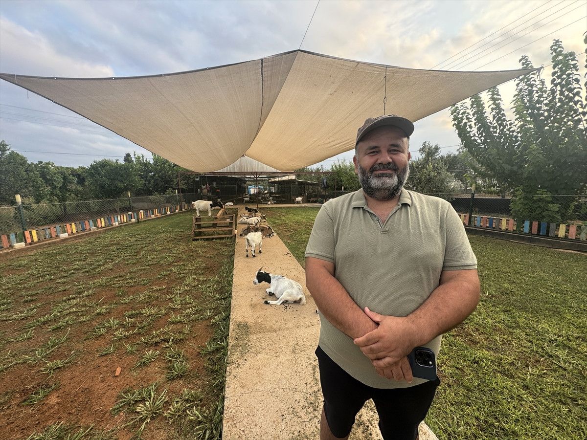 antalyada basina poset gecen kecinin surusunu korkuttugu anlar 1 3lPfQeYP