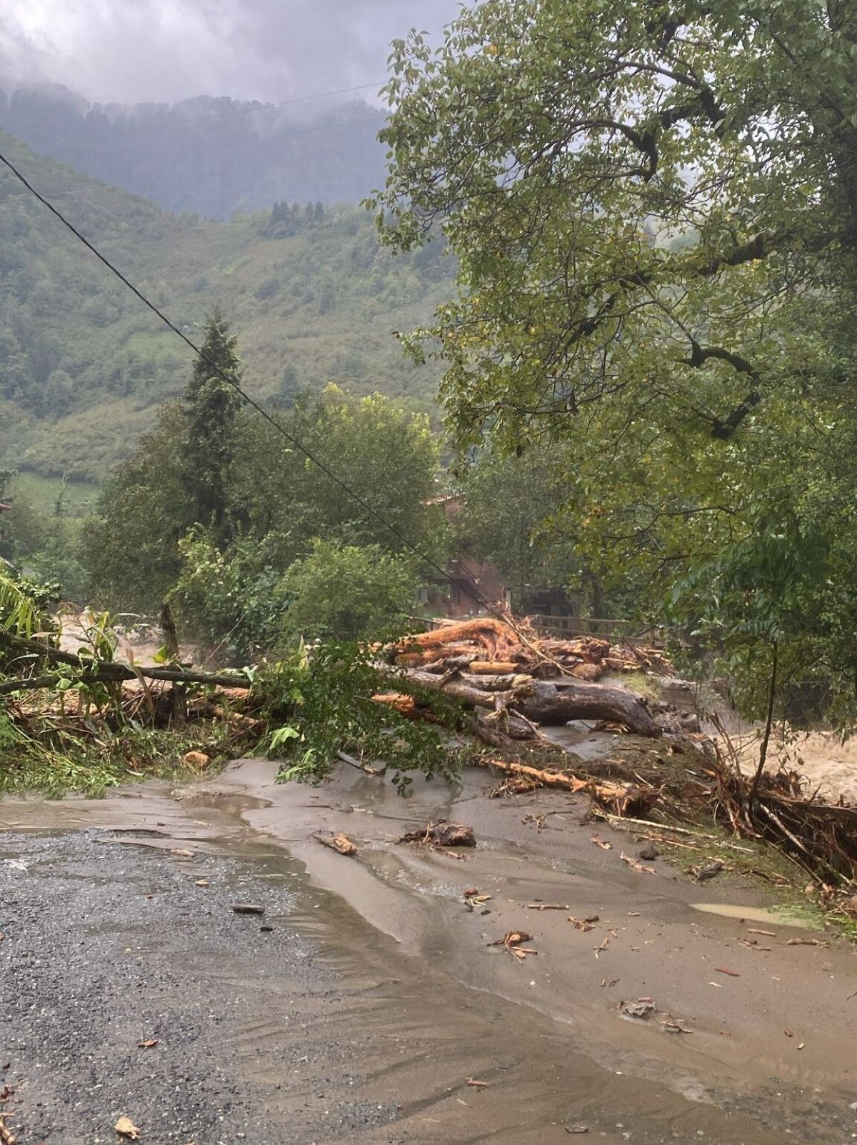 artvinde saganak yagis hayati felc etti 0 Tjhfy1CE