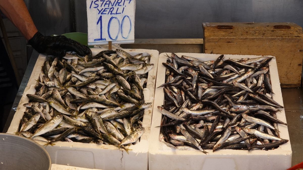 av yasaginin sona ermesiyle beraber trabzonda tezgahlar istavritle doldu 0 9V287Hqh