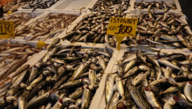 av yasaginin sona ermesiyle beraber trabzonda tezgahlar istavritle doldu UiXskVQw