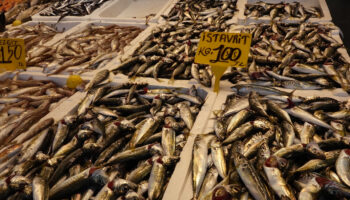 av yasaginin sona ermesiyle beraber trabzonda tezgahlar istavritle doldu UiXskVQw