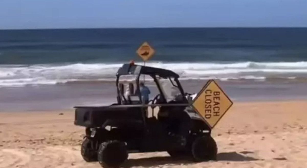 avustralyada 1 kisinin oldugu kopek baligi saldirisi sonrasi 2 plaj kapatildi 0 8Cj8XP3F