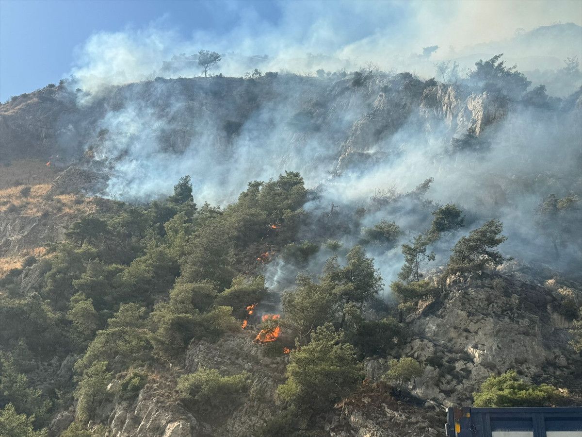 aydinda orman yangini 0 jgcZwtKq