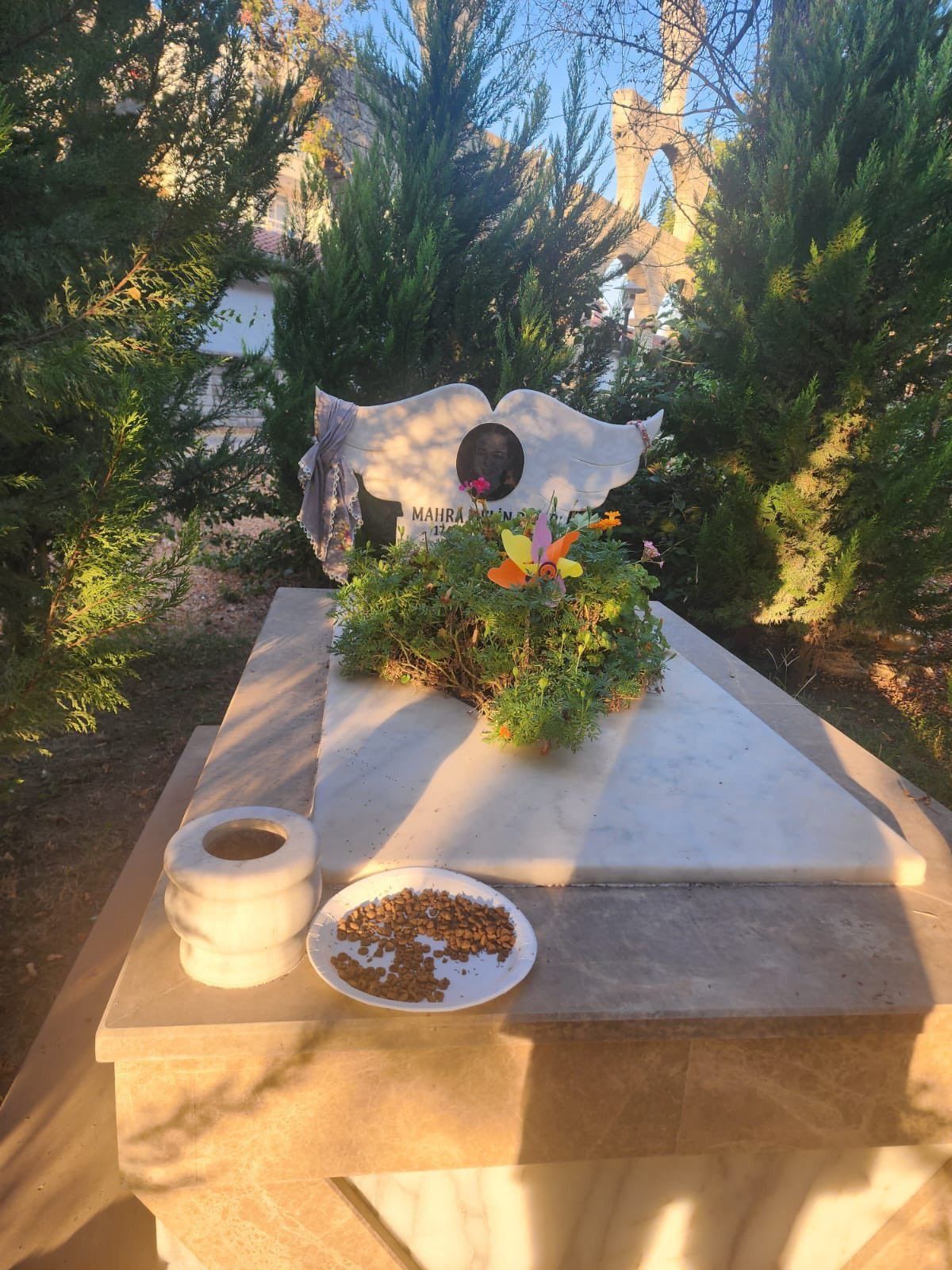 basibos sokak kopeklerinin oldurdugu mahranin mezarina mama biraktilar 2 bFk2B4CU