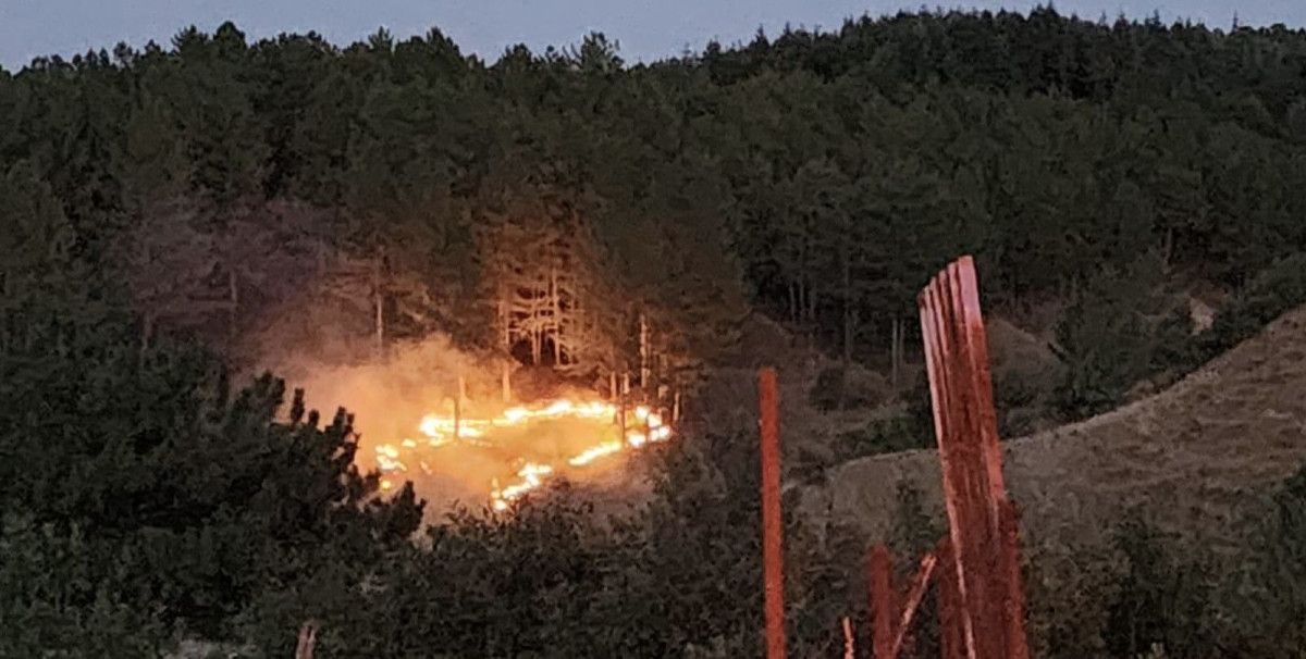 bingolde orman yangini ile mucadele kontrol altina alindi 0 F9jeLZJ8