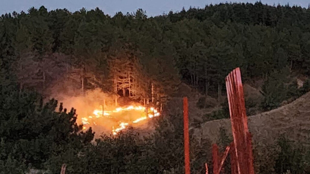 bingolde orman yangini ile mucadele kontrol altina alindi UvJuV1VY