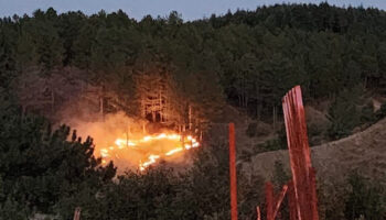 bingolde orman yangini ile mucadele kontrol altina alindi UvJuV1VY