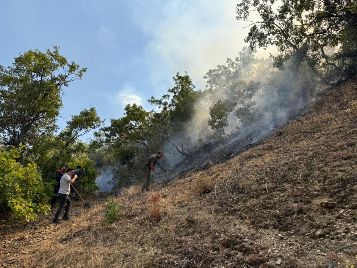 bingolde orman yangini panigi 0 sMtUS6BY