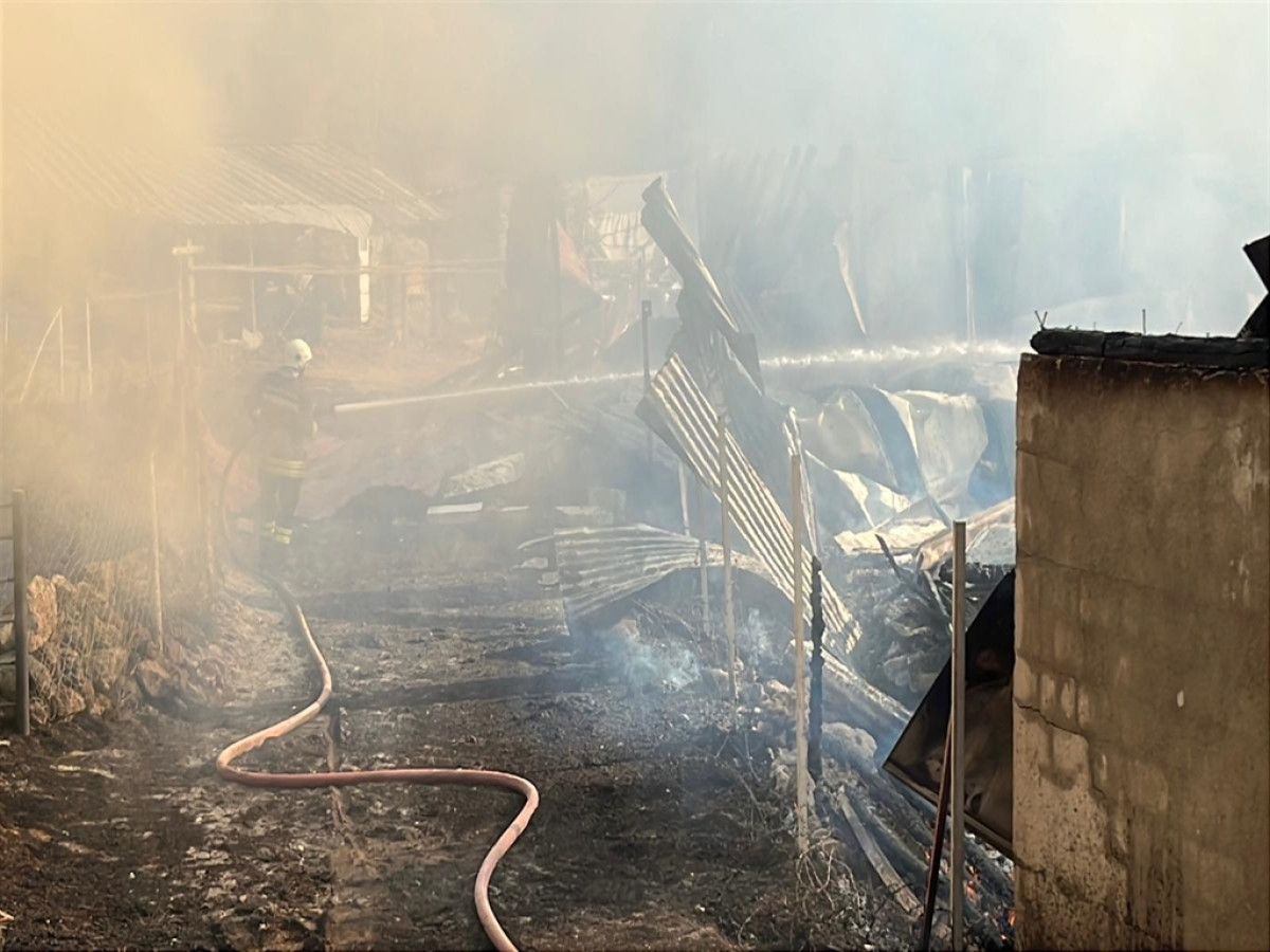 boluda ait 4u ev 12 yapiyi yakan damat yakalandi 2