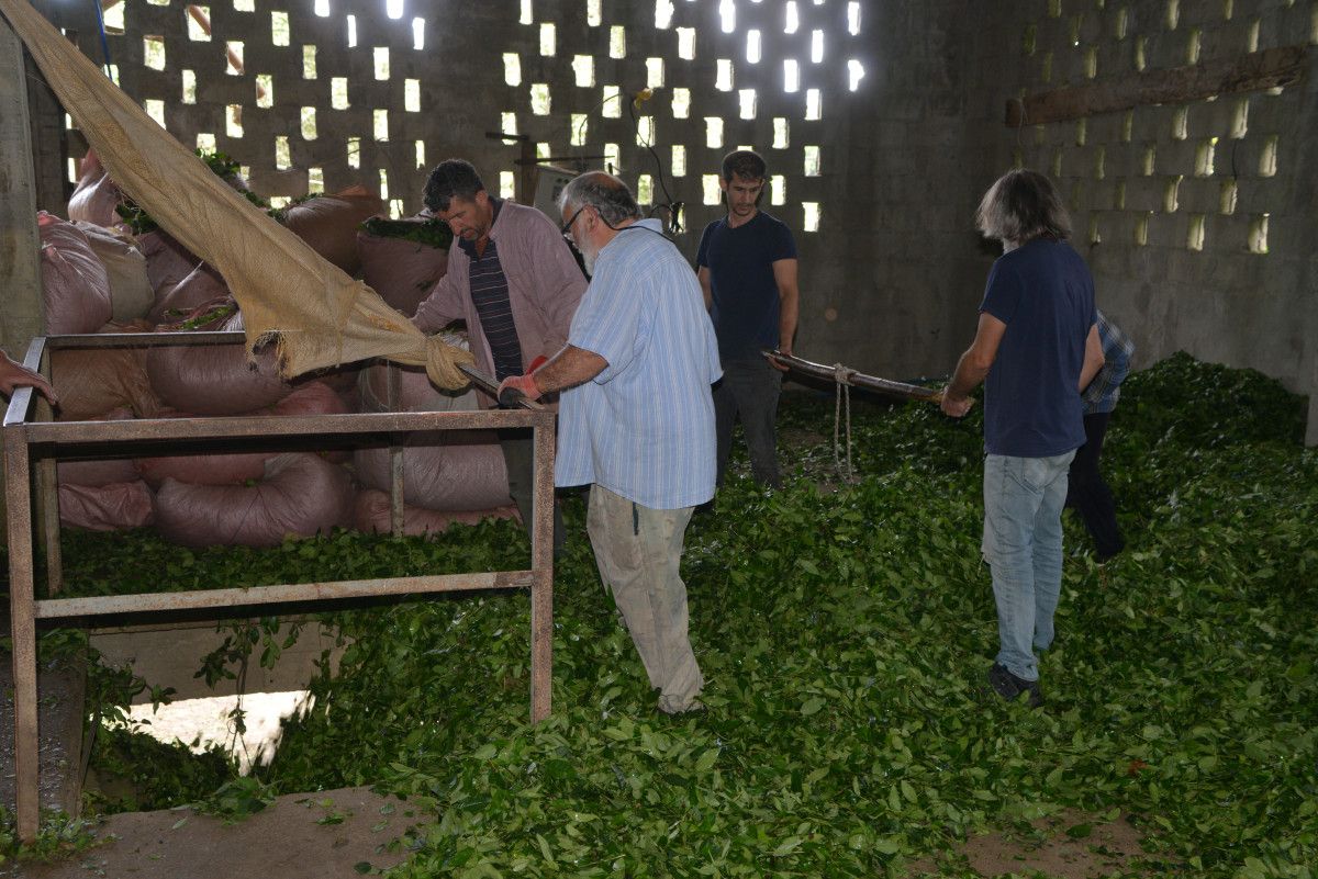 bu yol rizeden baska yerde yok ustu cay alim yeri alti yol 3 kXbIllcq