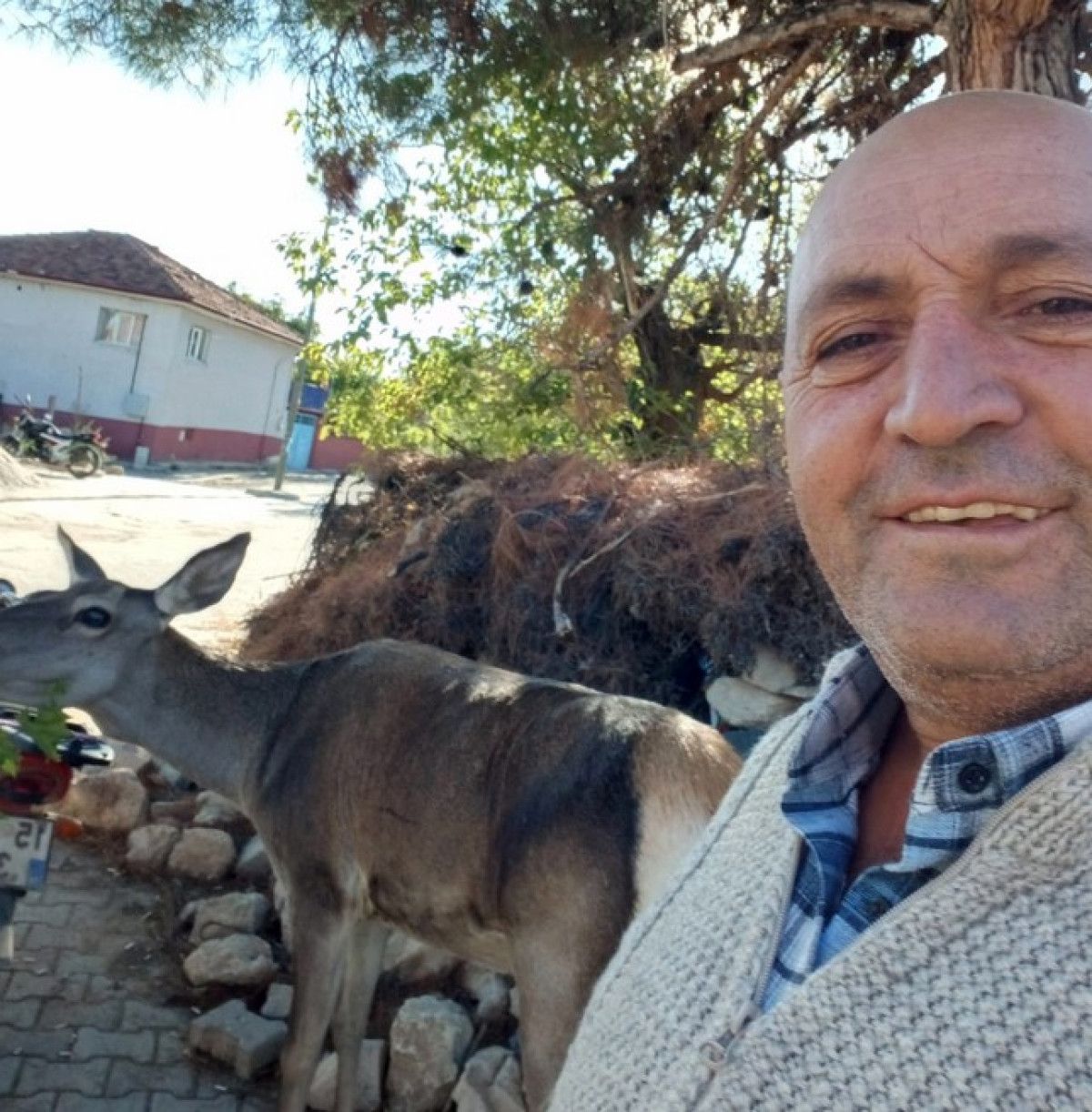 burdurda nesli tehlike altindaki kizilgeyik koye indi 4 GdKgb1BA