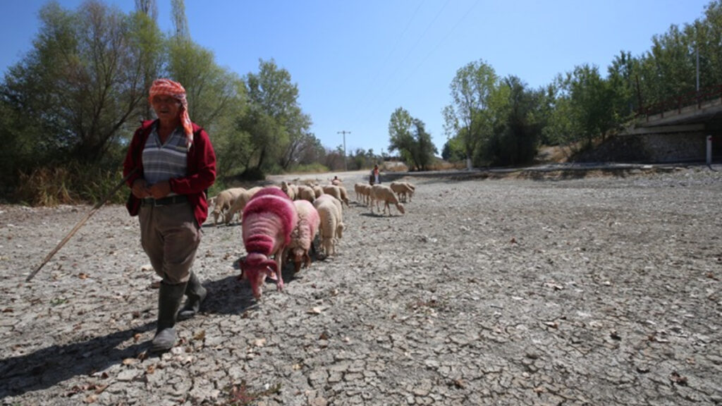 calda 852 yillik gelenege kuraklik damgasi 2cUAkY1I