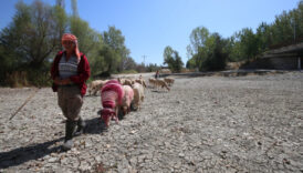 calda 852 yillik gelenege kuraklik damgasi 2cUAkY1I