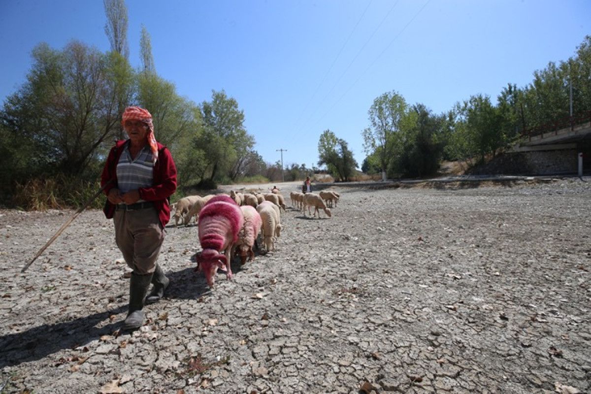 calda 852 yillik gelenege kuraklik damgasi 3 2NdzFeOh