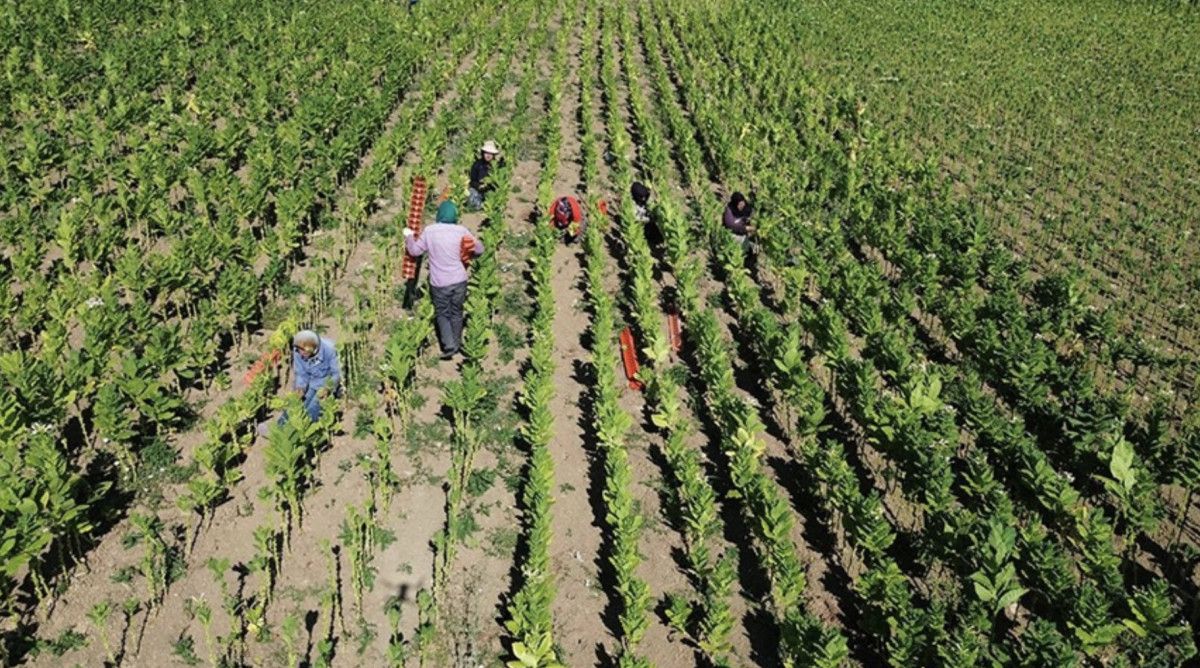 ciftci kayit sistemi 2026 uretim yili basvurulari 1 eylul tarihinde baslayacak 1 QlDpAOjQ