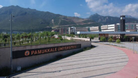 denizlide arkadasinin yeni dogan bebegini kacirmaya calisti XOWqhRlx