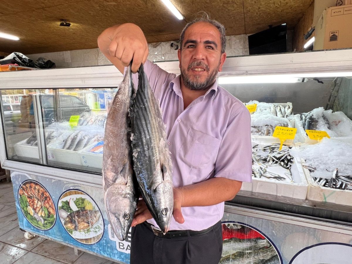 deprem sonrasi kahramanmarastan 54 ulkeye balik ihracati 0 G44Pp1vi