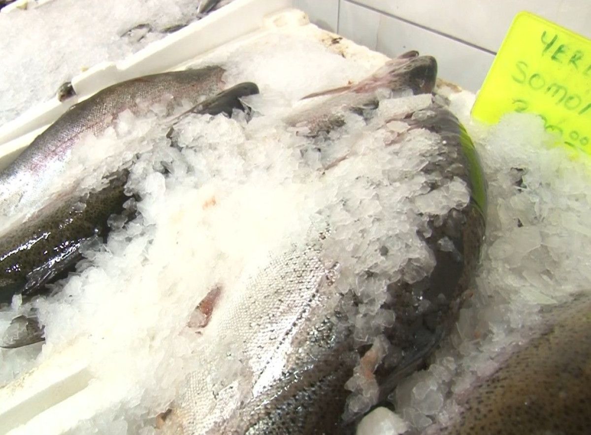 deprem sonrasi kahramanmarastan 54 ulkeye balik ihracati 1