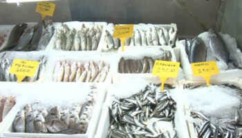 deprem sonrasi kahramanmarastan 54 ulkeye balik ihracati zuT28H8B