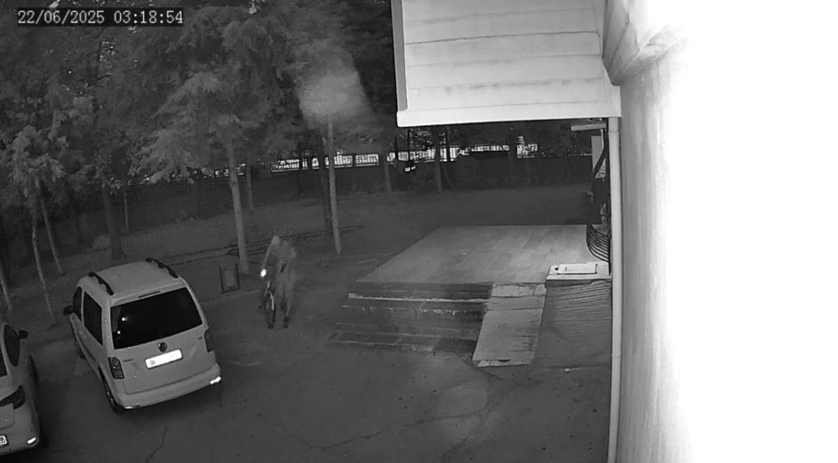 diyarbakirda mahalleye musallat olan hirsizlar enselendi 0 BQRZAOWp