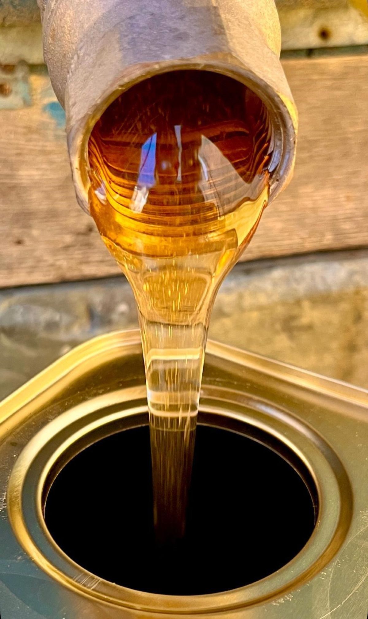 dogu karadenizde aricilik tehdit altinda 4 UVdTqJTp