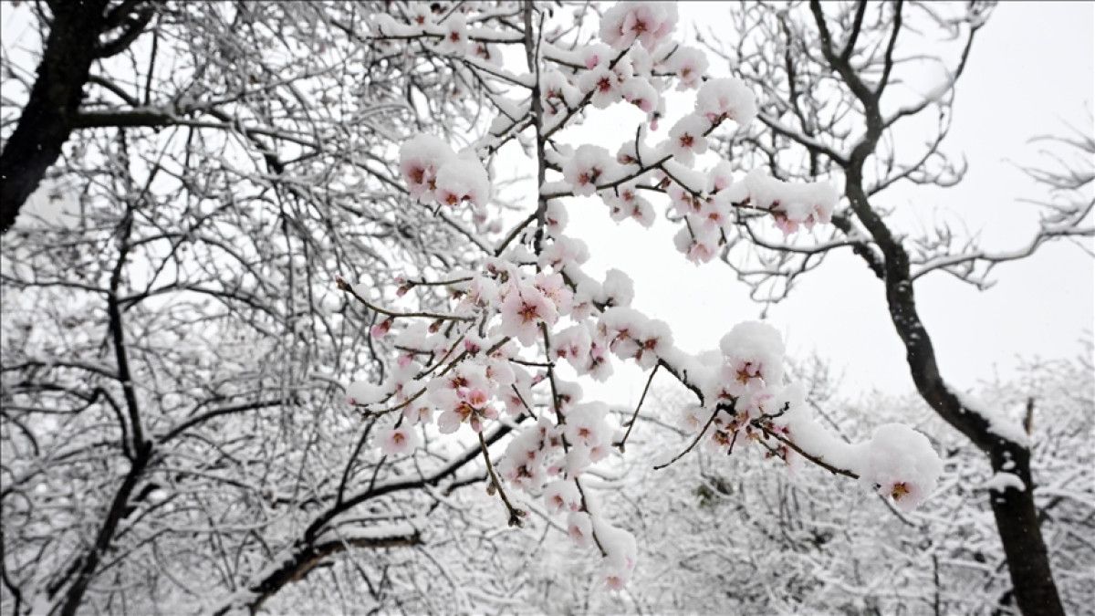 dunya meteoroloji orgutu acikladi etki edemeyecek 0
