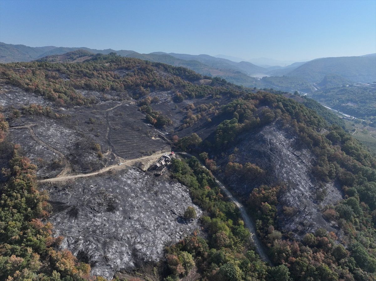 duzcede yanginin bilancosu ortaya cikti zarar goren alanlar havadan goruntulendi 0 tm6TyXRJ