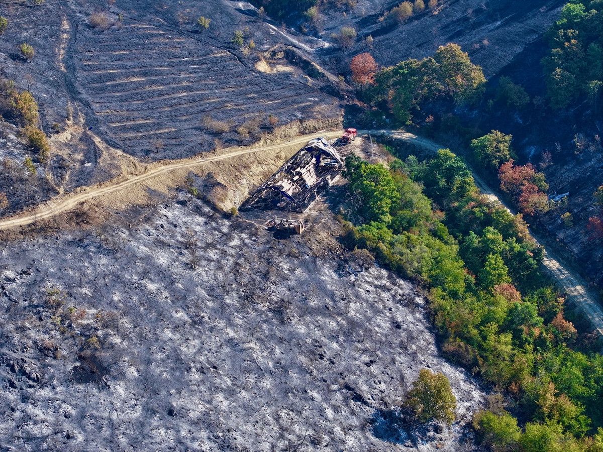 duzcede yanginin bilancosu ortaya cikti zarar goren alanlar havadan goruntulendi 1 qOrqBKkn