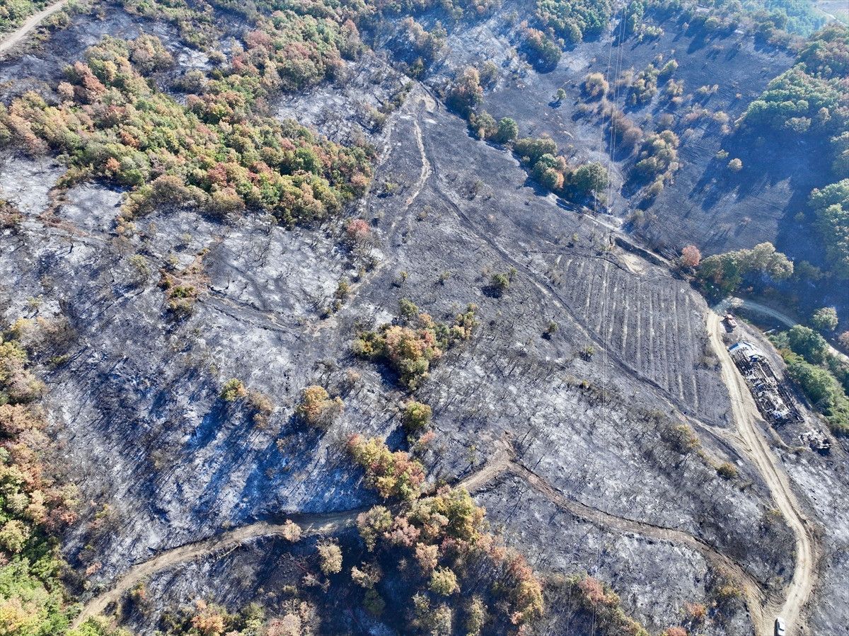 duzcede yanginin bilancosu ortaya cikti zarar goren alanlar havadan goruntulendi 2