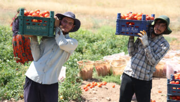 elazigda ciftciden olay cagri disarida 25 liraya alacaginiza tarladan 8 liraya alin gZRTgBK1